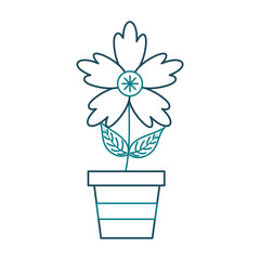 potted crocus flower natural decoration ornament