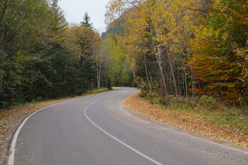 Fototapeta na wymiar Landscape with an asphalt road in the autumn forest in the Caucasus Mountains