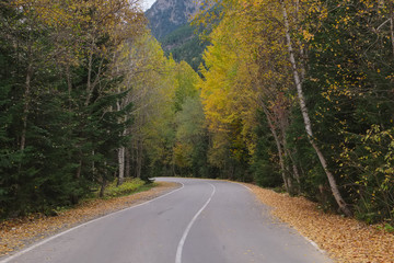 Landscape with an asphalt road in the autumn forest in the Caucasus Mountains