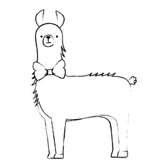 peruvian llama isolated icon