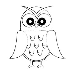 owl bird isolated icon