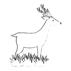 wild deer isolated icon