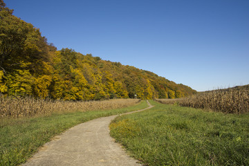 Fototapeta na wymiar Hills in Hungary with forest in autumn colors with a blue sky and a foot path