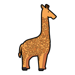 wild giraffe isolated icon
