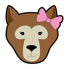 wild bear kodiak head