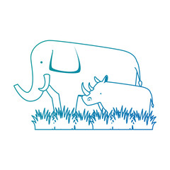 wild elephant and rhino