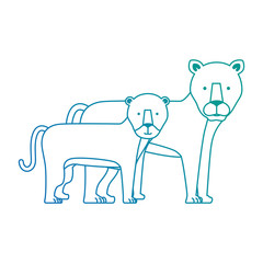 wild and big lion female with son