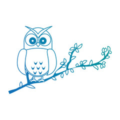 owl bird in branch
