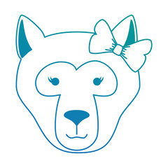 wild bear kodiak head