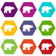 Bear icon set color hexahedron