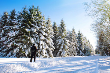 Walking man in winter pine forest .