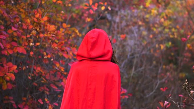 Young gorgeous brunette witch with red cloak in the mystical autumn forest.