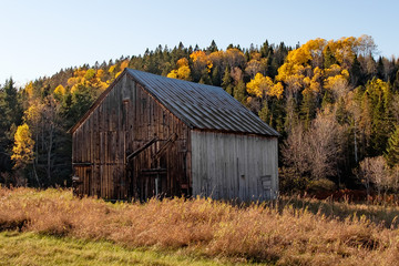 Abandoned Barn