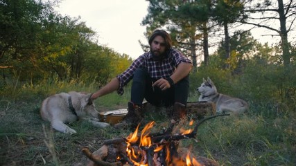 man playing guitar sitting with siberian husky dog near the campfire in forest during sunset  - Powered by Adobe