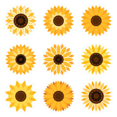 Sunflower plant icons isolated on white background. Vector flat beautiful sunflowers