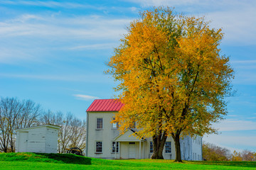 White House with Red Roof