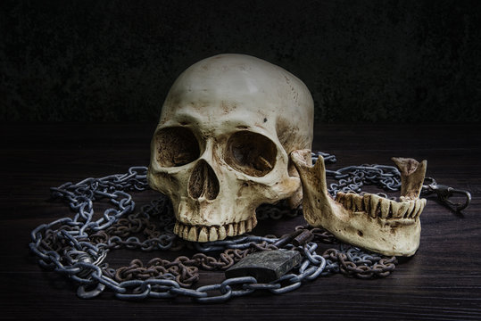 Human skull attached to rusty chains on the wooden plank in Halloween night at the old jail. Still Life image.