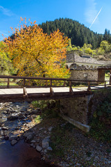 Autumn view of a nineteenth-century church of the Assumption in town of Shiroka Laka, Smolyan Region, Bulgaria