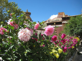 花と寺