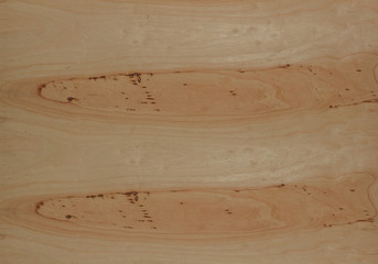 Beautiful pattern on wood.