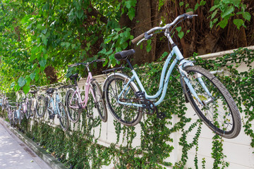 Fototapeta na wymiar 自転車・アート : Bicycle Art in the city