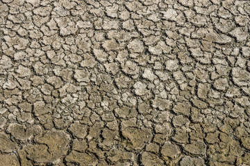 Pattern of contraction and desiccation cracks in dry earth. Because of the lack of water in the soil.