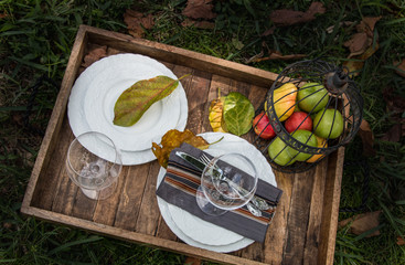 Picnic dinner serving decoration - outside at the backyard or park, setting ideas