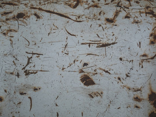 rusty steel texture background
