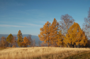 Jesienny krajobraz © Ola i Eryk