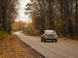 Obraz premium White car in the autumn forest with the side lights.