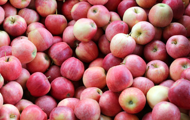 background of many red apples