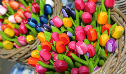 colorful tulips for sale