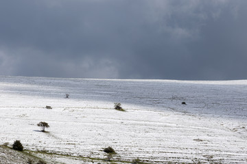 A mountain covered by melting snow, with some small plants and beneath an overcast sky