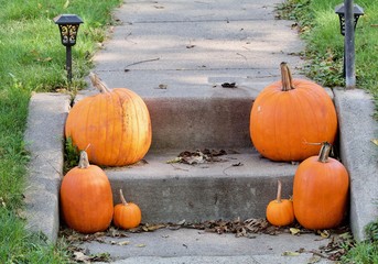 Pumpkins on the step