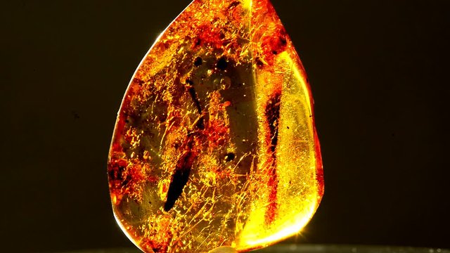 Bernstein in der Sonne auf einem Drehteller