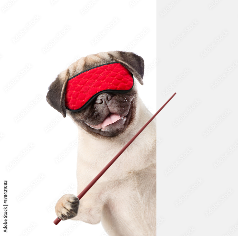 Poster Funny dog with eye mask  and pointing stick pointing at empty banner. isolated on white background