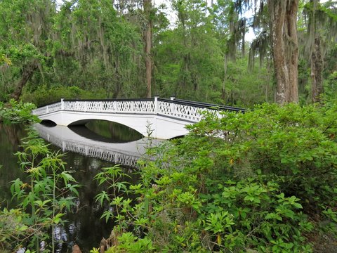 Bridge At Magnolia Plantation In Charleston, SC