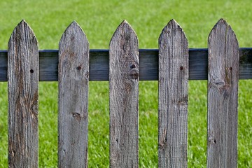 Fototapeta premium Weathered wood picket fence against the grass