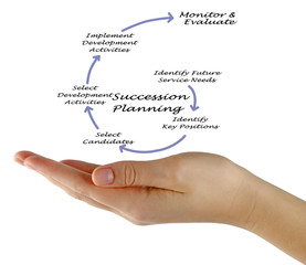 Succession Planning Process