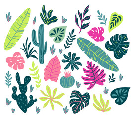Vector set with wild tropical rainforest plants. Isolated elements of tropic design.