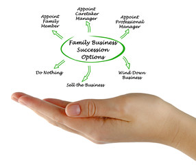 Family Business Succession Options