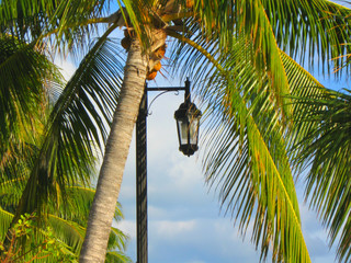 Tropical scenery of Mallory Square of Key West, Florida.