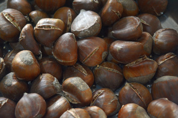 CASTAGNE ARROSTITE,CAMPANIA,SUD ITALIA.