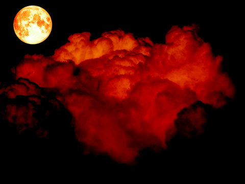 super moon and red cloud over dark tree