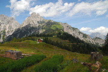 Admonter Reichenstein in the alps, Austria, a hut and wood pile seen from a grass field
