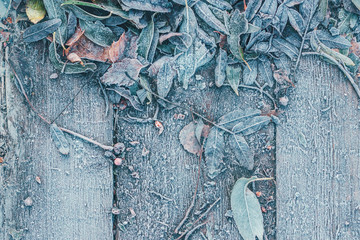 The fallen leaves of the trees froze on a wooden background.