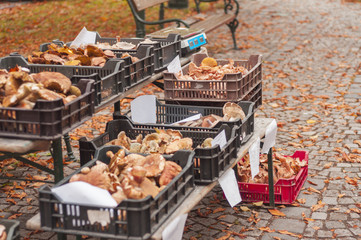 buying on market in autumn, village market vegetables