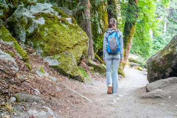 Naklejka na ściany i meble Tourist with backpack hiking on trail in Yosemite