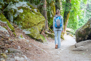 Obraz premium Tourist with backpack hiking on trail in Yosemite