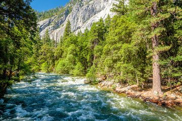 Merced River landscape in Yosemite